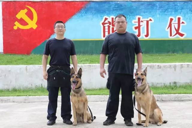 如何通过数据分析优化篮板训练效果?_1